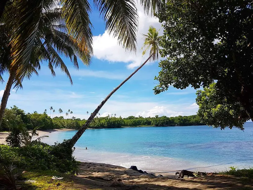 Agonoa Black Sand beach Agonoa Black Sand beach