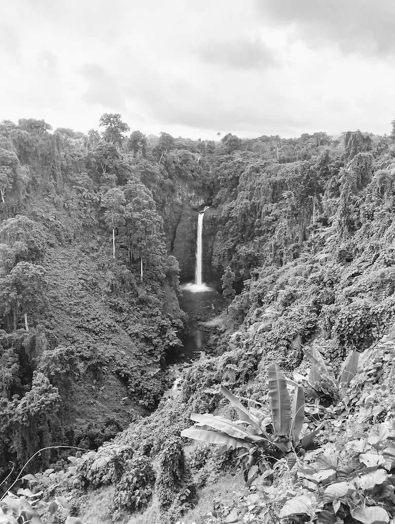 The powerful Sopoaga Falls Lotofaga Village, Samoa. The powerful Sopoaga Falls Lotofaga Village, Samoa.