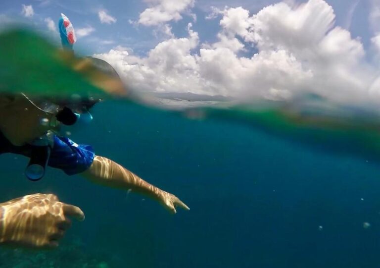 Snorkeling Tours – Vaiula Beach Fales TafaTafa Samoa