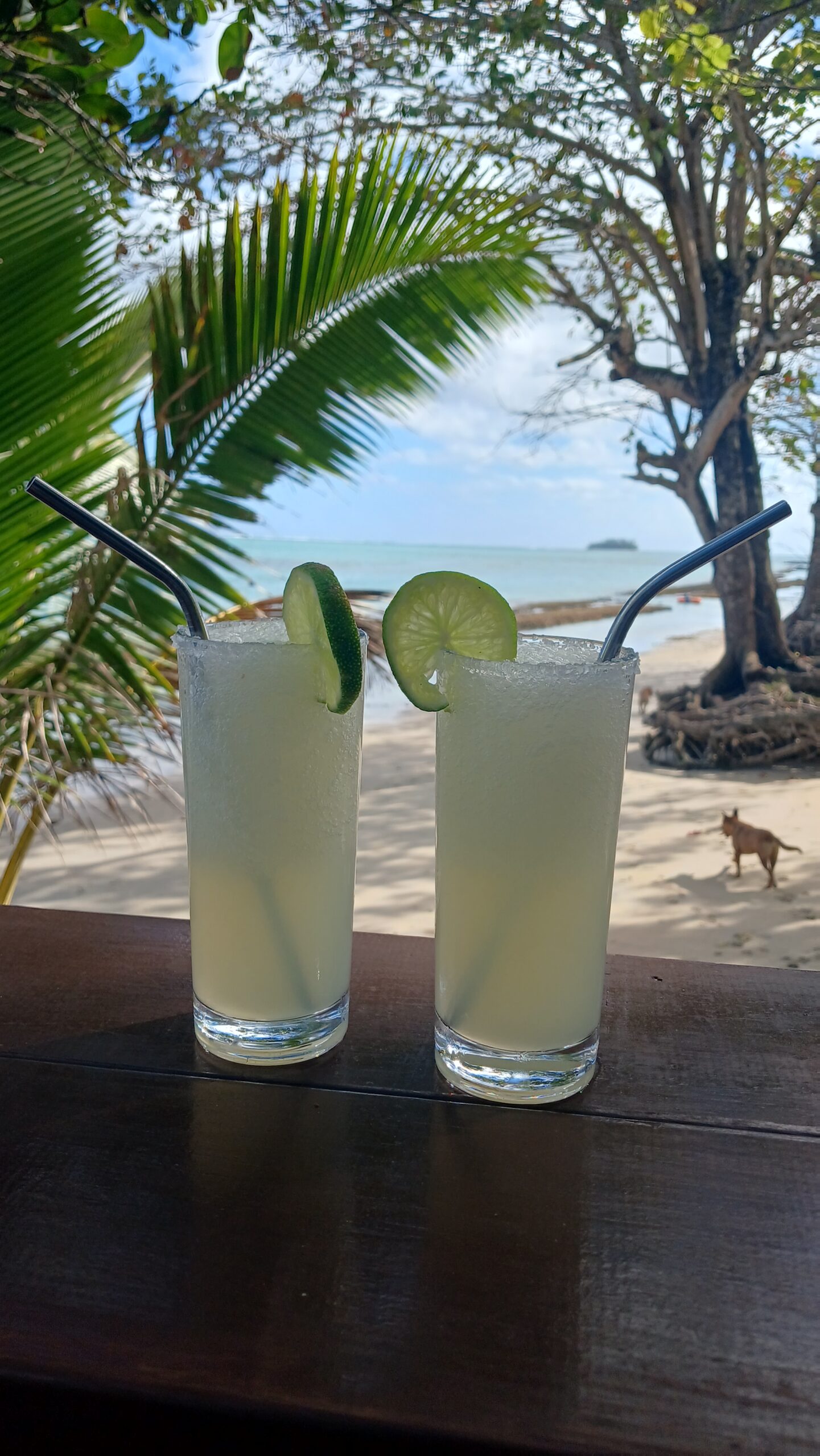 best cocktails in Samoa